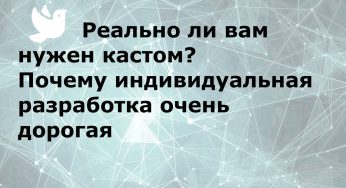 Реально ли вам нужен кастом? Почему индивидуальная разработка очень дорогая